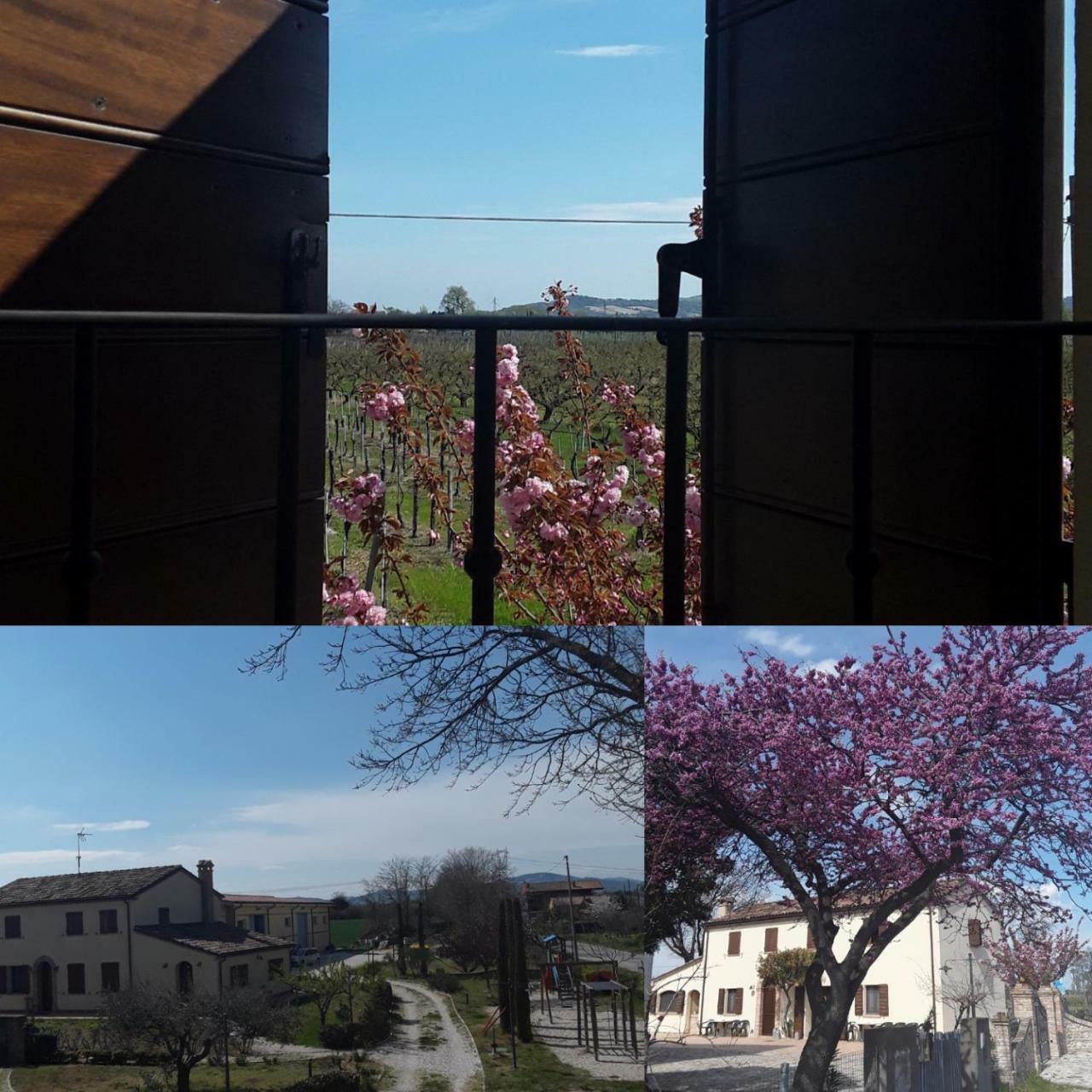 Fattoria Della Bilancia * San Giovanni In Marignano